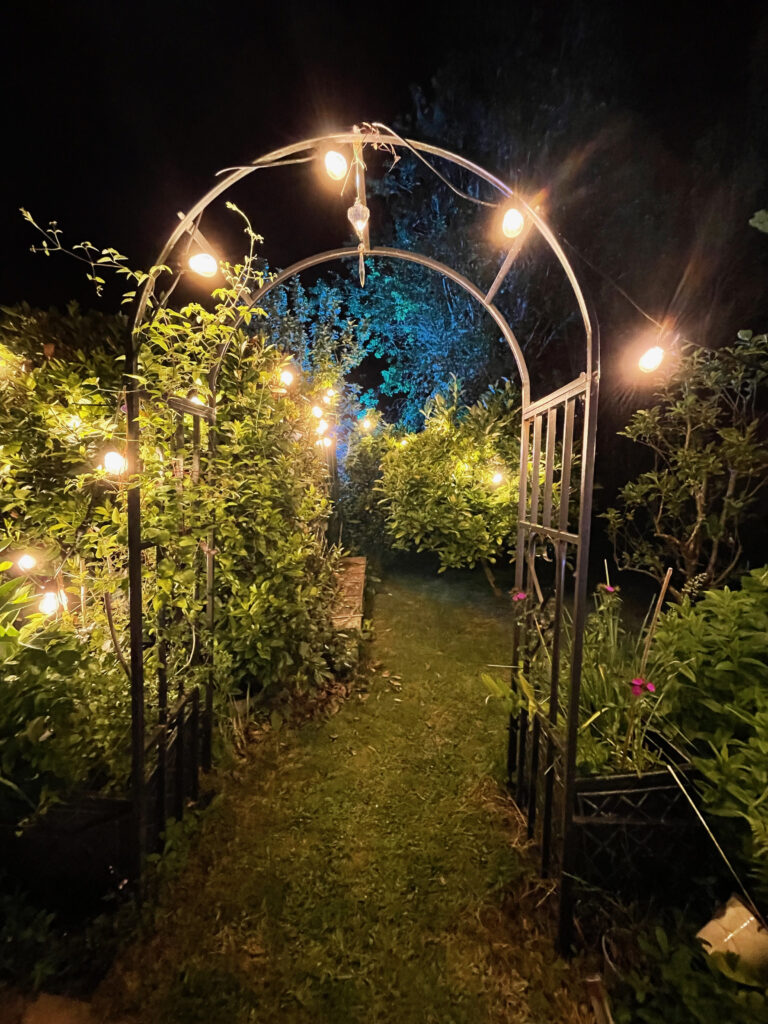 Festoon Lighting Arch